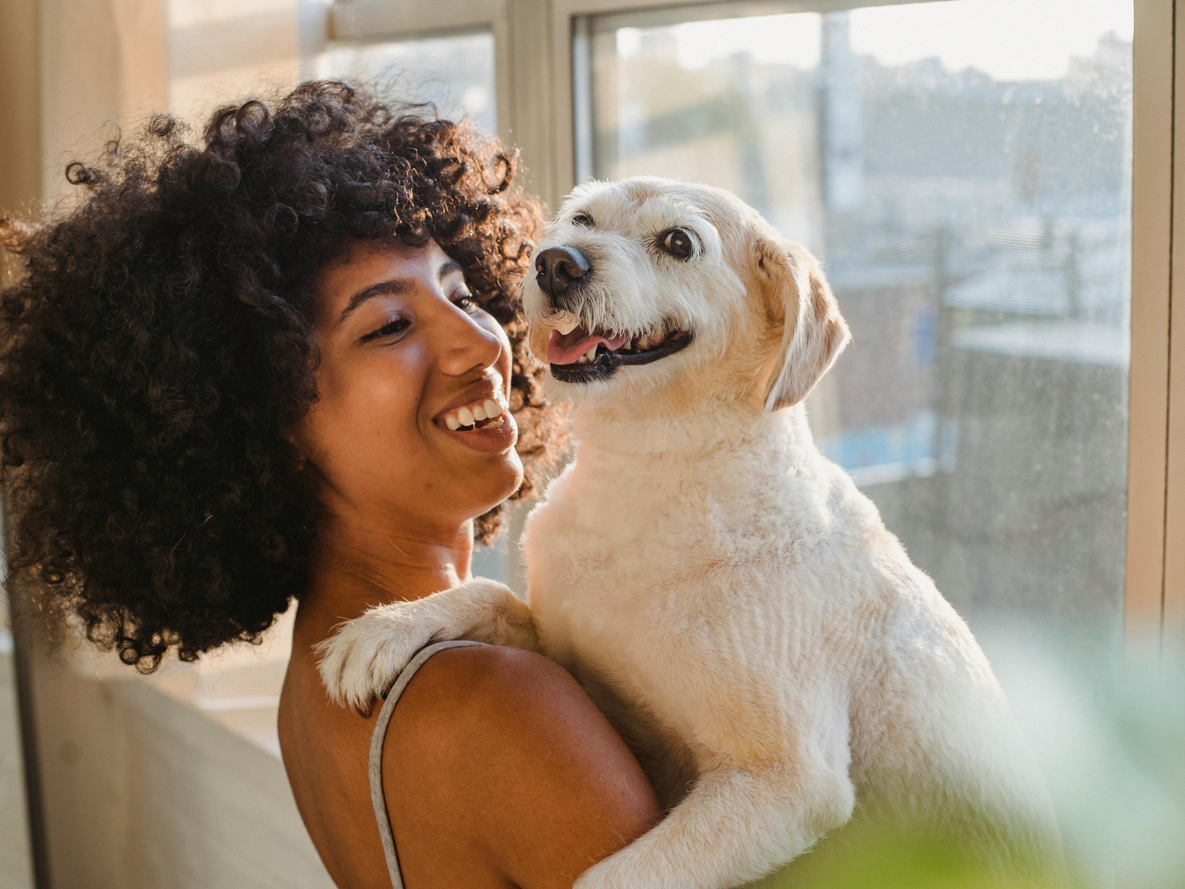 Professional cat sitting service in Collin County Texas