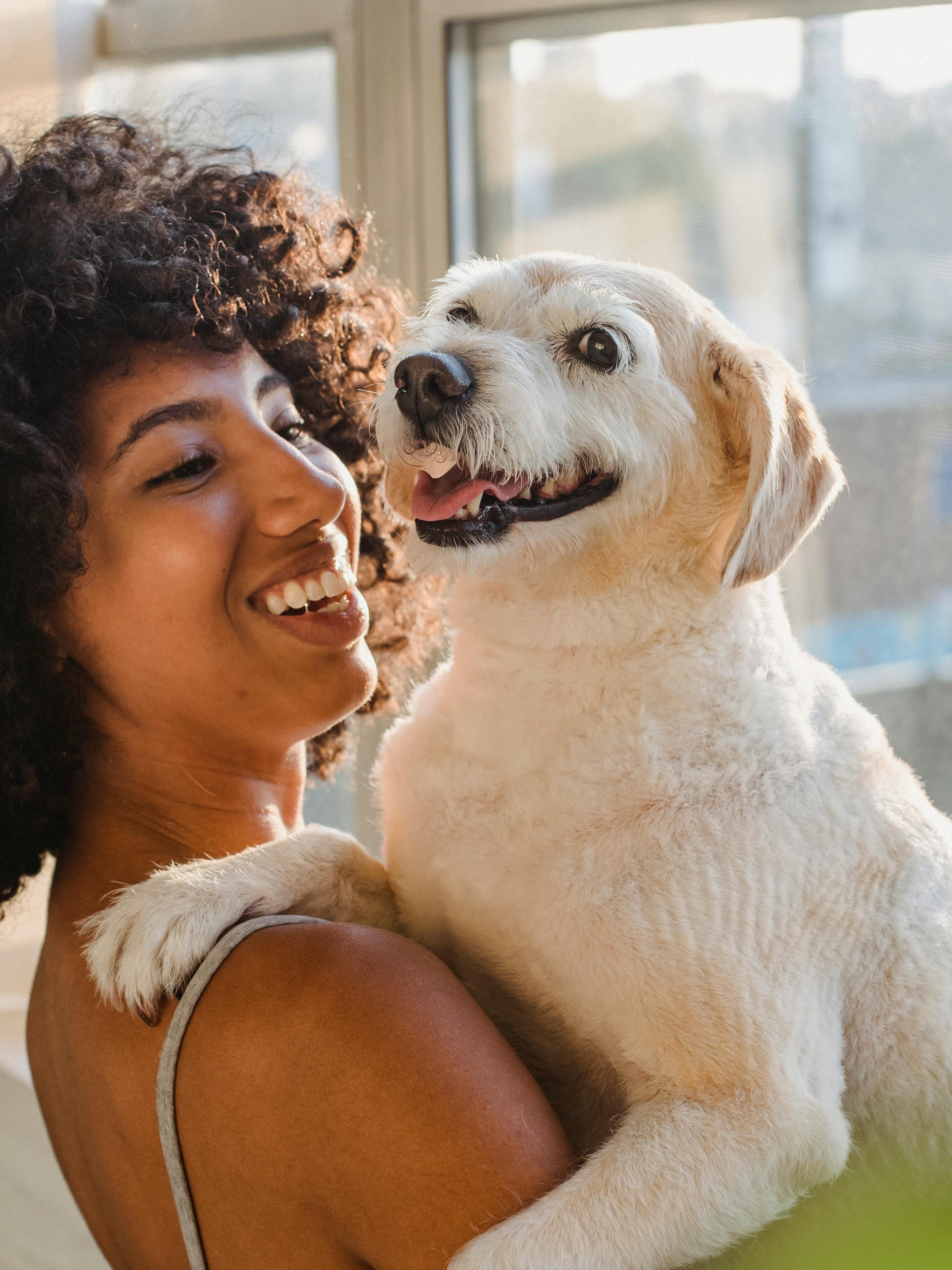 Trusted Tidy TinkerBell pet sitter caring for a dog in North Texas